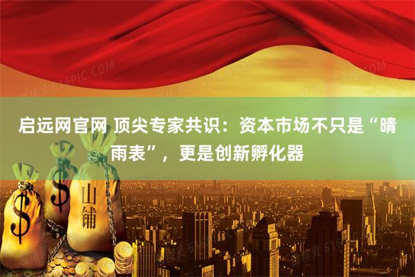 启远网官网 顶尖专家共识：资本市场不只是“晴雨表”，更是创新孵化器
