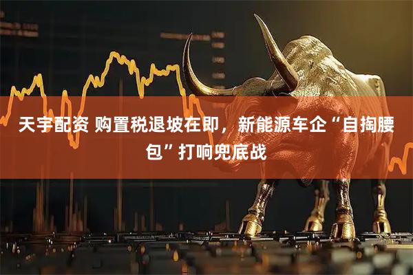 天宇配资 购置税退坡在即，新能源车企“自掏腰包”打响兜底战