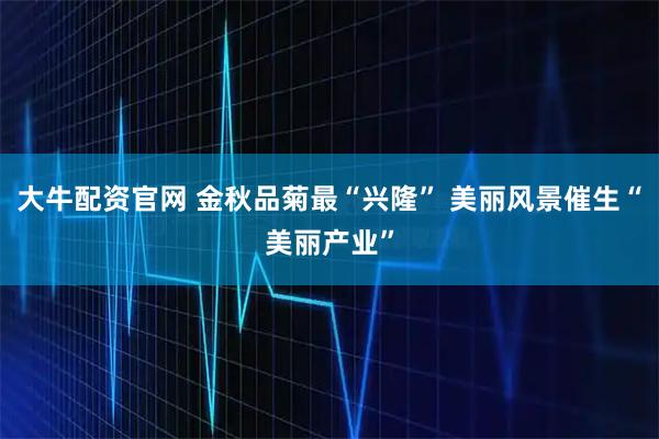 大牛配资官网 金秋品菊最“兴隆” 美丽风景催生“美丽产业”