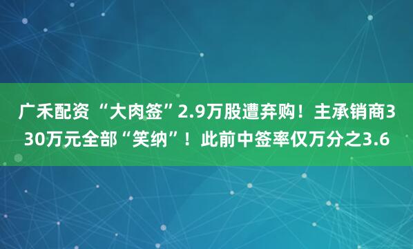 广禾配资 “大肉签”2.9万股遭弃购！主承销商330万元全部“笑纳”！此前中签率仅万分之3.6